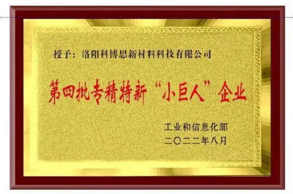 专精特精小巨人企业